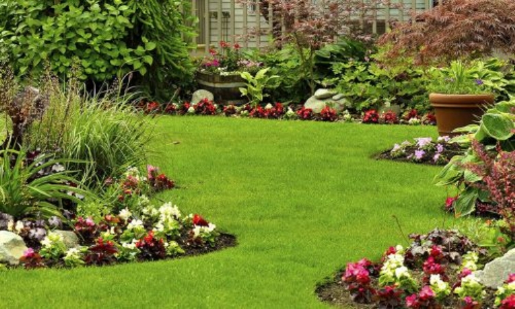 Toprak, Çiçek ve Peyzaj Düzenleme Hizmetleri